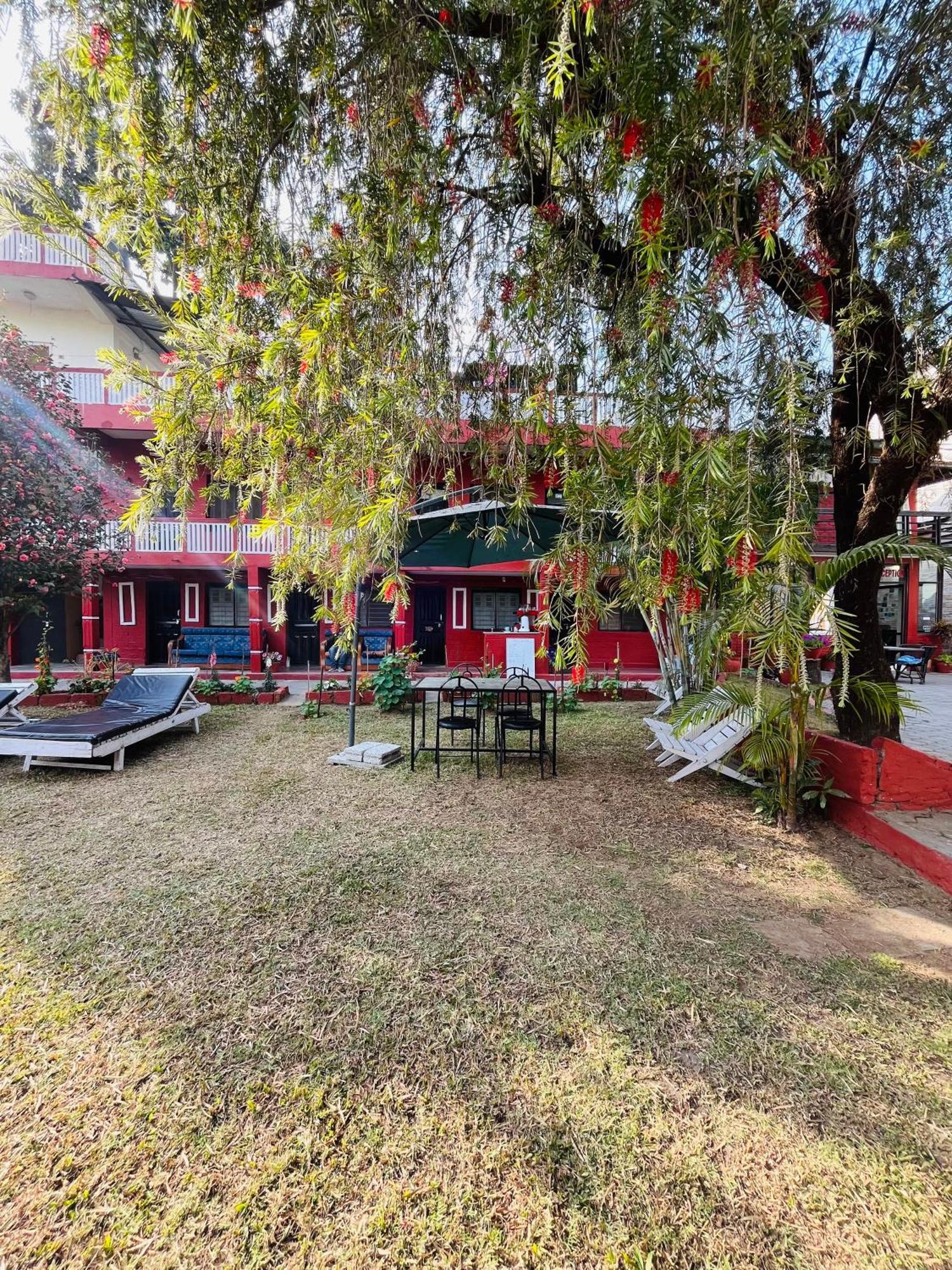 Butterfly Lodge Pokhara Eksteriør billede