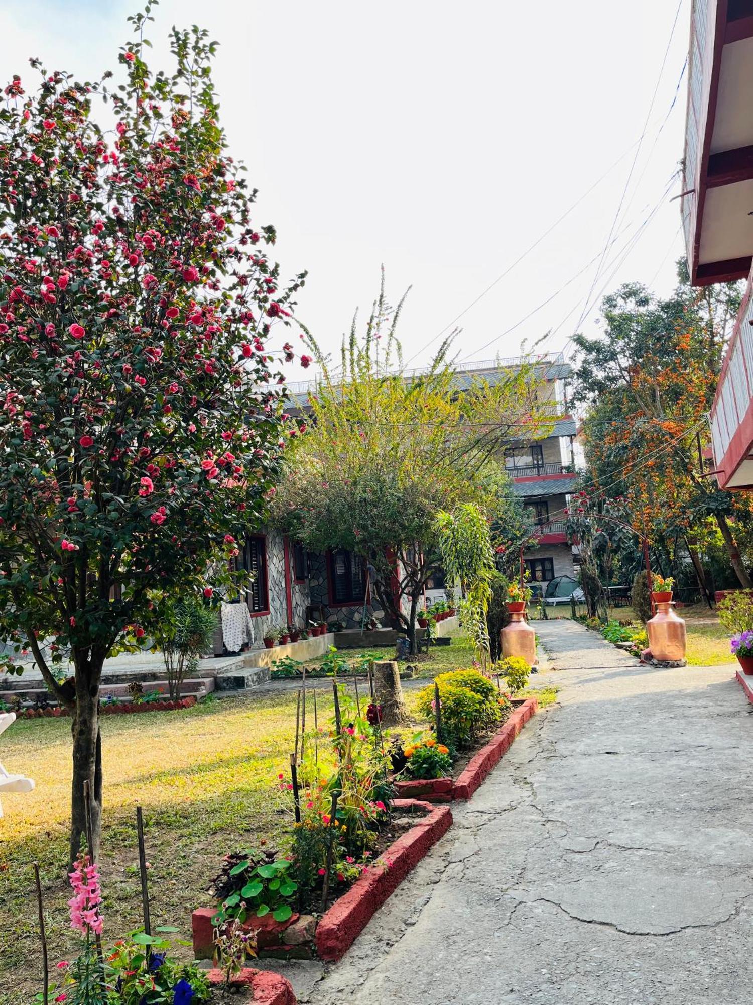 Butterfly Lodge Pokhara Eksteriør billede